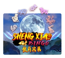 Sheng Xiao Bingo - SUPERBET388