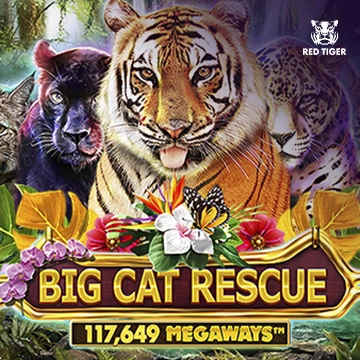 Big Cat Rescue Megaways - SUPERBET388