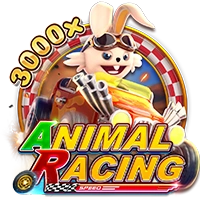 ANIMAL RACING - SUPERBET388