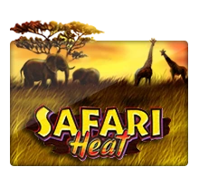 Safari Heat - SUPERBET388