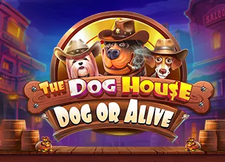 The Dog House - Dog or Alive - SUPERBET388