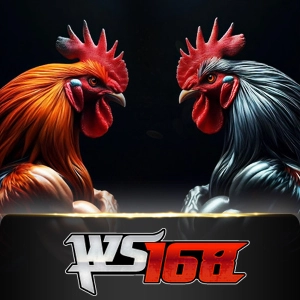 Ws168 Sabung - SUPERBET388