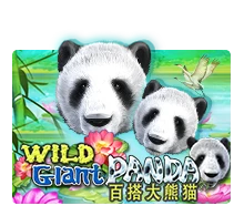 Wild Giant Panda - SUPERBET388