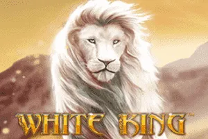 White King - SUPERBET388