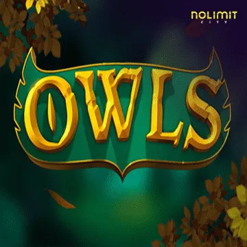 Owls - SUPERBET388