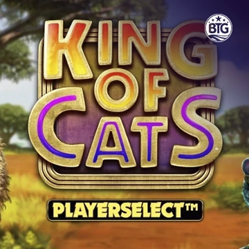 King of Cats - SUPERBET388