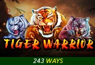 Spadegaming : Tiger Warrior - SUPERBET388