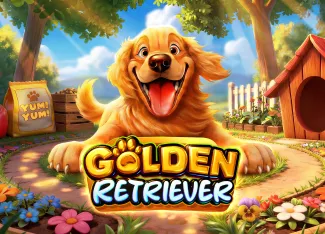 Golden Retriever - SUPERBET388