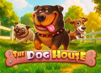 The Dog House - SUPERBET388