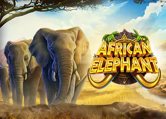 African Elephant - SUPERBET388